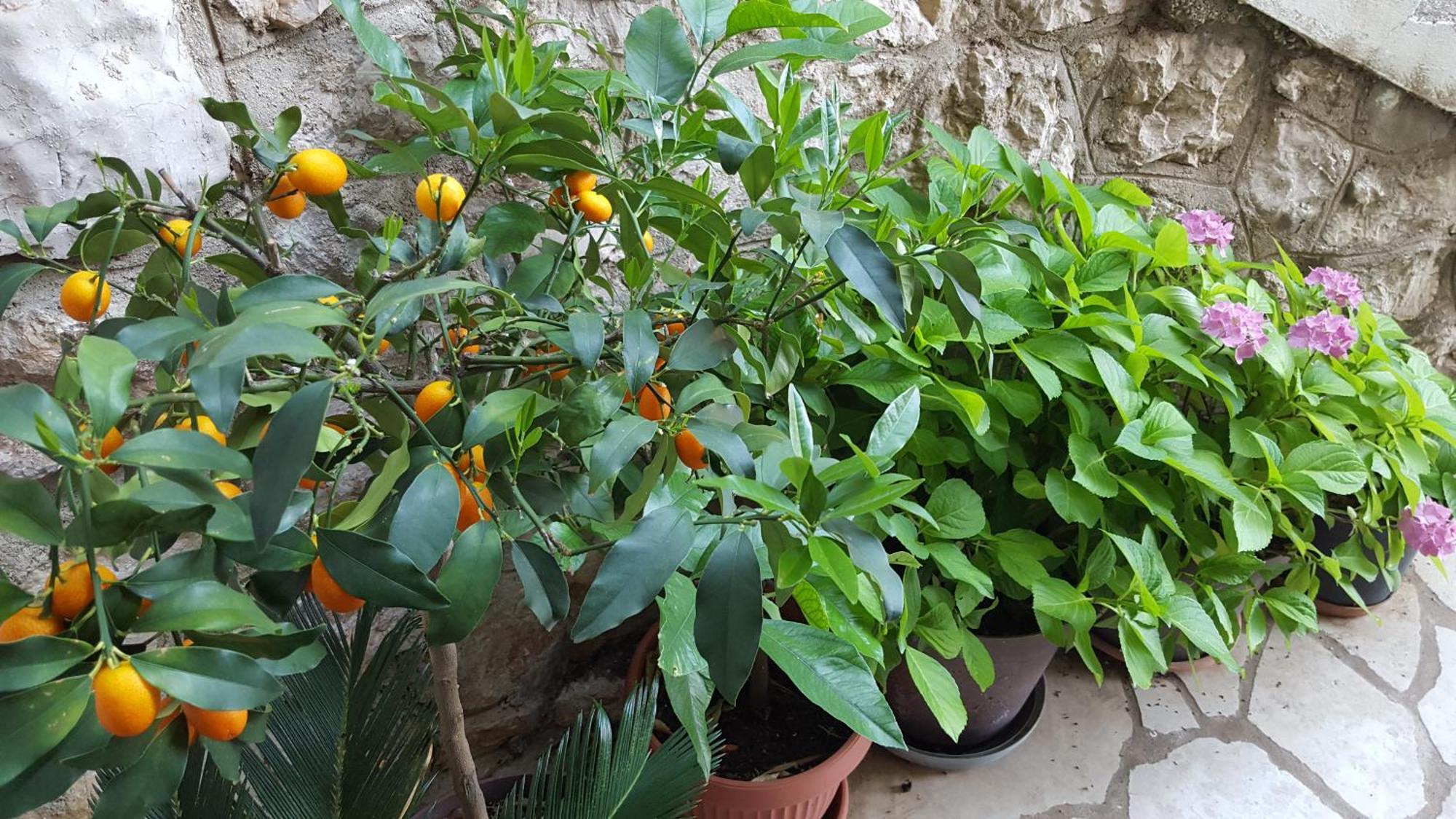 Apartments Kricin 1 Baška Zewnętrze zdjęcie